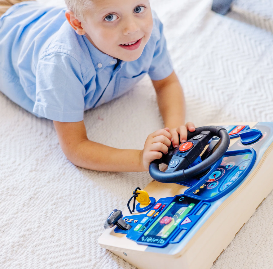 Melissa And Doug Interactive Dashboard Review