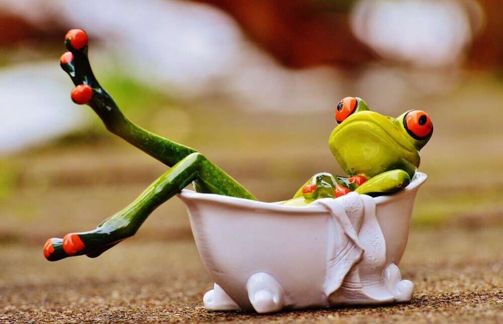 Best Bathtub For A Newborn